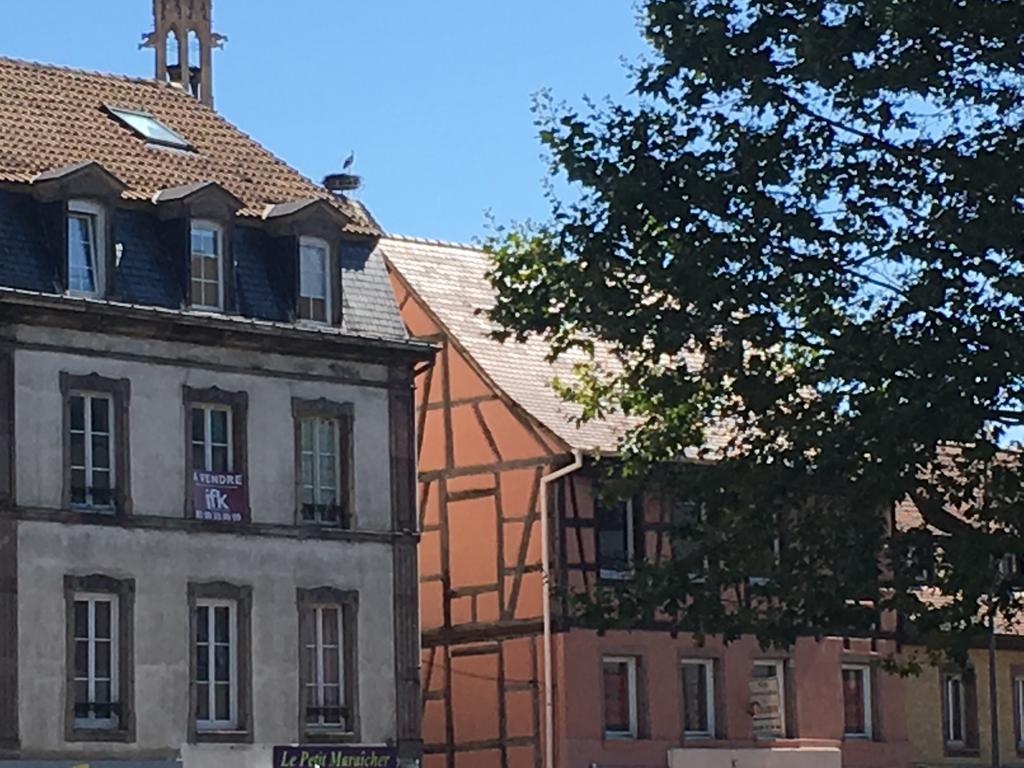 Les Hauts De Colmar Buitenkant foto